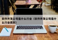 软件开发公司是什么行业（软件开发公司是什么行业类别）