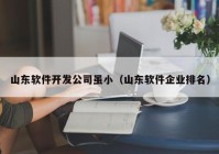 山东软件开发公司虽小（山东软件企业排名）